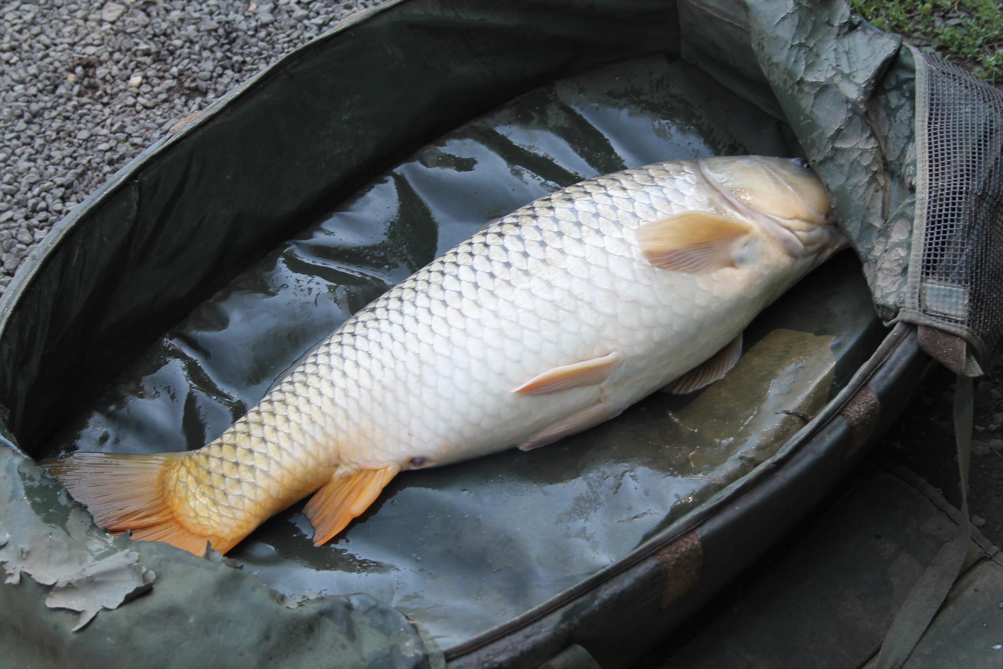 Nagykallo 28aug-01sep 2013 - nagykallo-2014-194.JPG